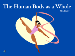 The Human Body as a Whole