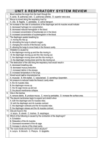 UNIT 8 RESPIRATORY SYSTEM REVIEW