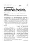 The Cardiac Sodium Channel: Gating Function and Molecular