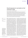 B-cell responses to vaccination at the extremes of age