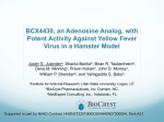 BCX4430, an Adenosine Analog, with Potent Activity Against Yellow