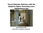 Visual Stimulus Delivery with the Adaptive Optics Scanning Laser
