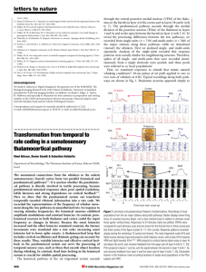 Transformation from temporal to rate coding in a somatosensory