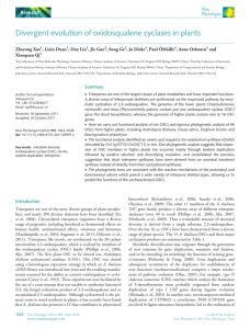 Divergent evolution of oxidosqualene cyclases in plants