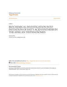 biochemical investigation into initiation of fatty acid synthesis in the