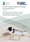 Climate change adaptation strategies for Australian birds