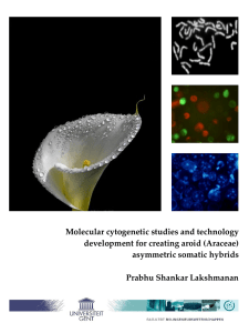 Molecular cytogenetic studies and technology development
