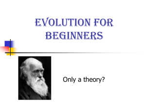 evolution-for-beginners3