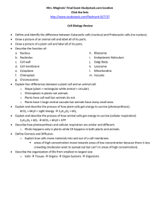 District Exam for Science Study Guide