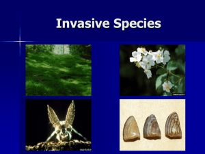 Invasive Species