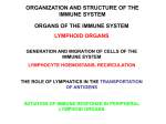 organization of the immune system