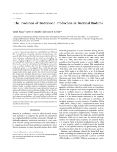 The Evolution of Bacteriocin Production in Bacterial
