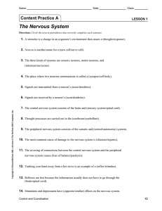 Lesson 1 | The Nervous System