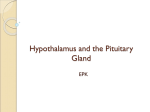 Hypothalamus and the Pituitary Gland