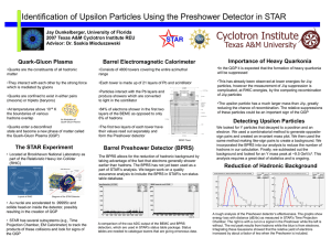 Dr. Saskia Mioduszewski Quark-Gluon Plasma