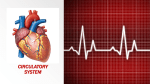 new circulatory ppt