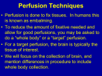 Perfusion Techniques