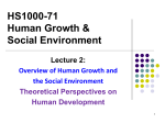 Lecture 2 theoretical perspectives