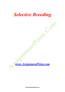 Selective Breeding www.AssignmentPoint.com Selective breeding