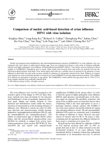 Comparison of nucleic acid-based detection of avian influenza
