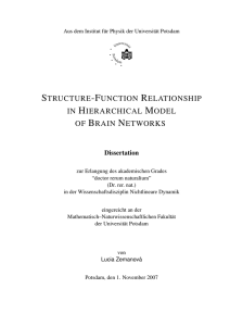 Structure-function relationship in hierarchical model of brain networks