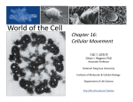 World of the Cell: Chapter 16