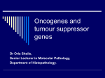tumour Suppressor Genes