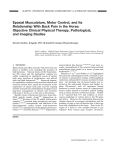 Epaxial Musculature, Motor Control, and Its Relationship With Back