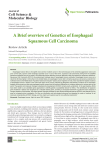 A Brief overview of Genetics of Esophageal Squamous Cell