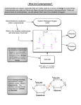 Organic Notes.graffle