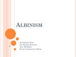 Albinism - Harlem Children Society