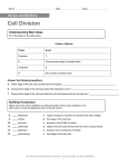 Cell Division Understanding Main Ideas