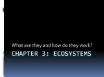 Chapter 3: Ecosystems - micsapes