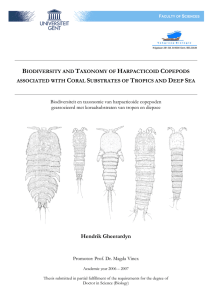 Biodiversity and taxonomy of harpacticoid