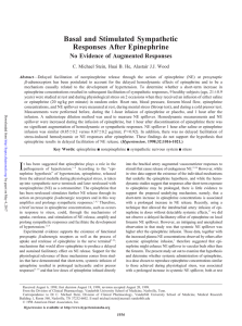 Basal and Stimulated Sympathetic Responses After Epinephrine No