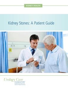 Kidney Stones: A Patient Guide