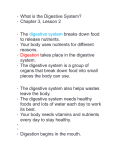 • What is the Digestive System? • Chapter 3, Lesson 2 • The