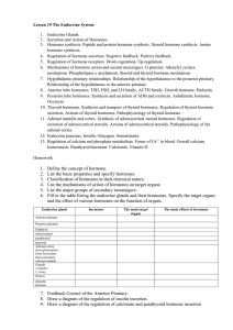 Lesson 19 The Endocrine System Endocrine Glands: Secretion and