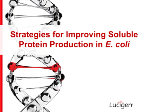 Strategies for Improving Soluble Protein Production in E. coli