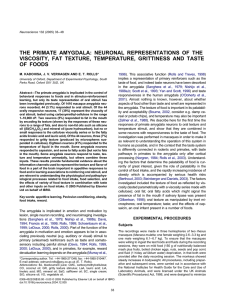 the primate amygdala: neuronal representations of