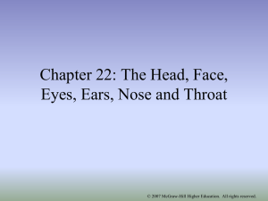 Head,Face, ENT Notes