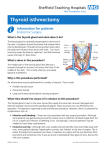 Thyroid isthmectomy - Sheffield Teaching Hospital