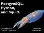 PostgreSQL, Python, and Squid.