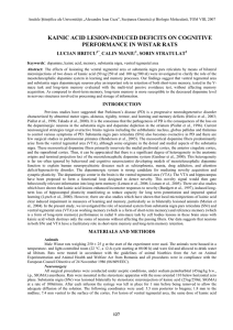 kainic acid lesion-induced deficits on cognitive performance in