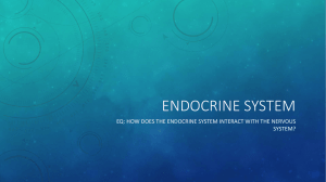 Endocrine system