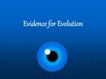 LE - 7 - Evidence for Evolution