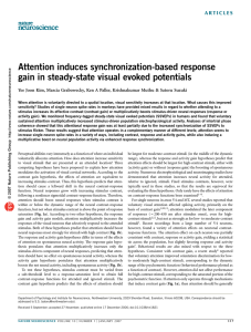 Attention induces synchronization-based response gain in steady