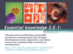 Essential knowledge 2.E.1