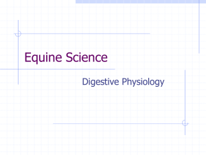 Horse Science