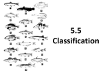 5.5 Classification